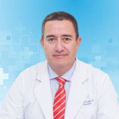 Francisco Pacheco Bastidas